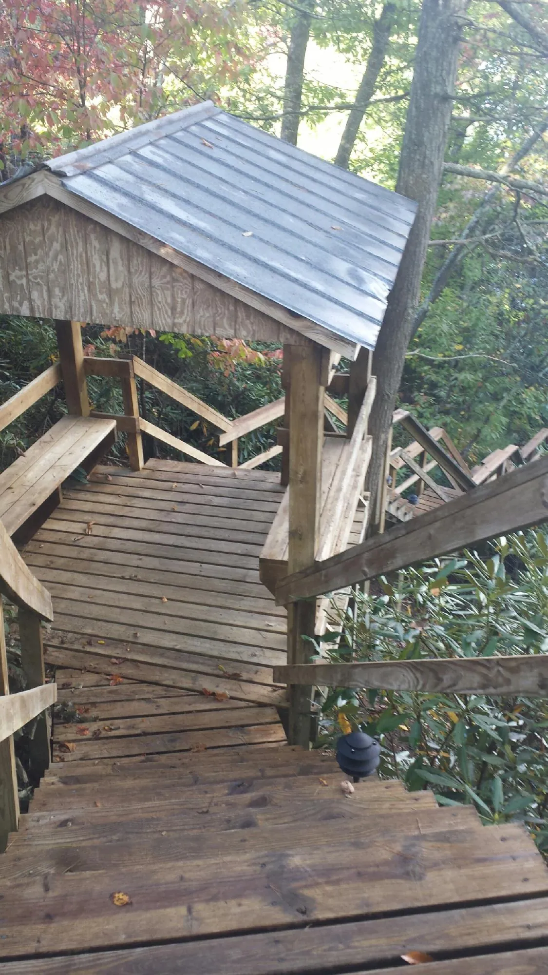 Metal roofed shelter over wooden steps on a wooded walkway — Skylight Repair & Installation work by our crew in Mc Grann